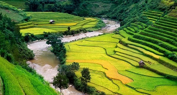 Tour Mù Cang Chải