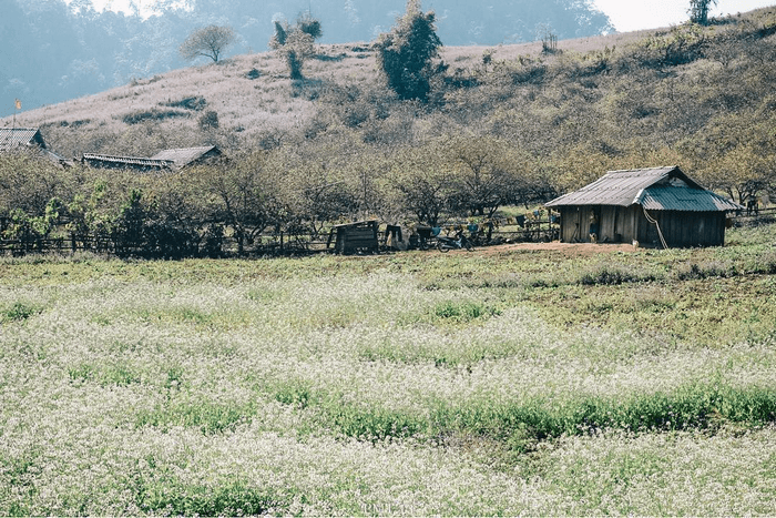 bản pa phách mùa đông