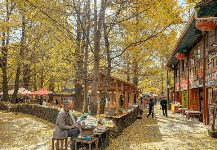 hàng quán ở làng ngân hạnh