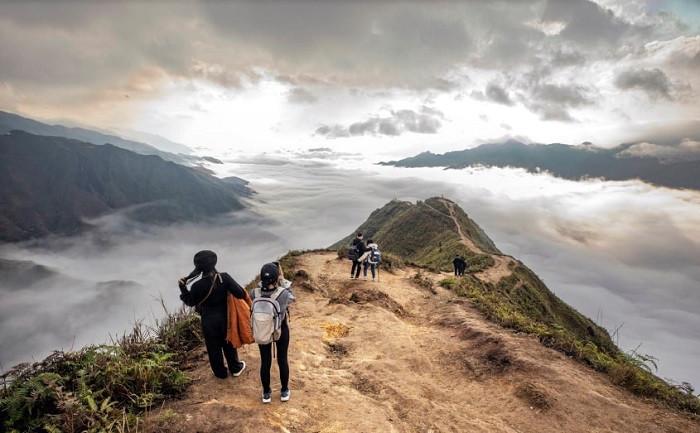 vị trí sống lưng khủng long tà xùa