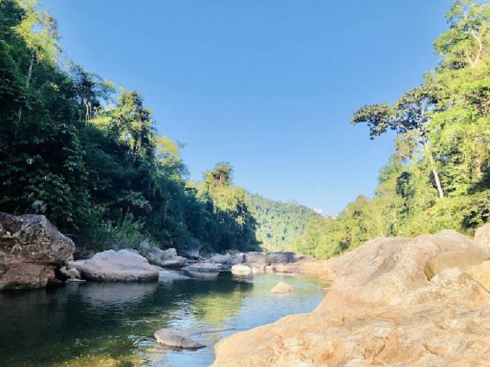 khu bảo tồn thiên nhiên mường nhé - điện biên