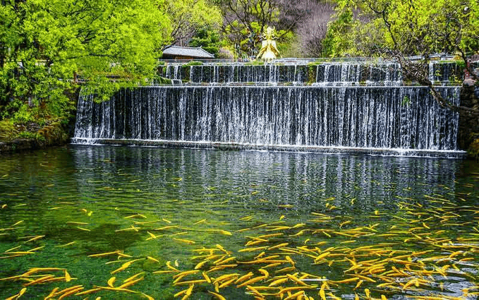 ngọc thủy trại lệ giang