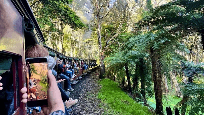 tàu hơi nước puffing billy úc