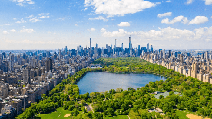 new york mỹ