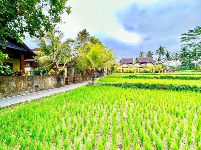 Dupa Ubud Villa