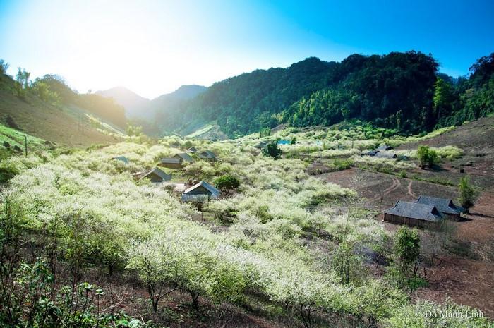 tour du lịch Mộc Châu tháng 12