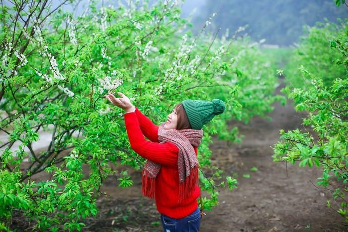 tour du lịch Mộc Châu tháng 12