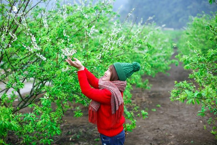 du lịch mộc châu tháng 2