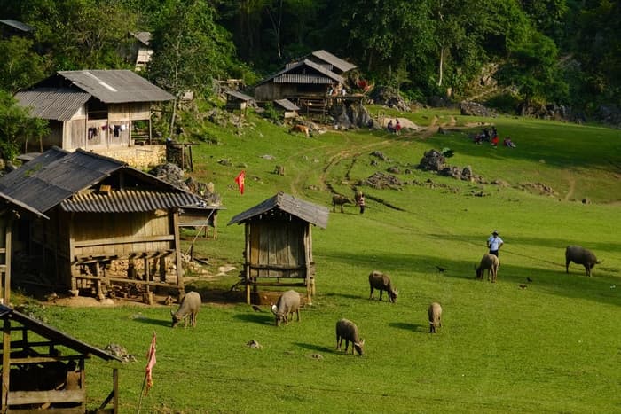 kinh nghiệm đi mộc châu