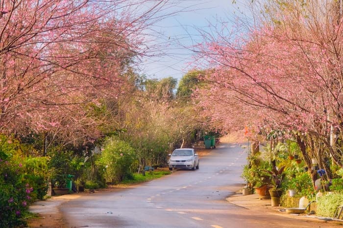 mùa xuân ở măng đen