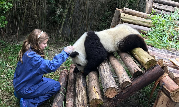 công viên gấu trúc thành đô