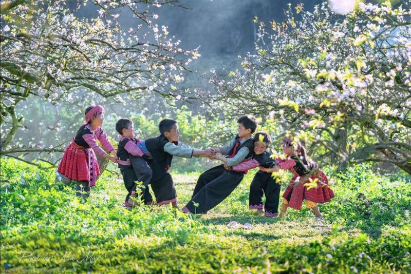 mùa xuân sapa