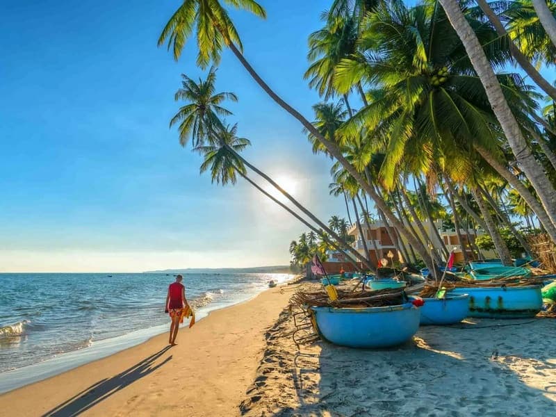 cảnh bãi biển Mũi Né nhìn từ trên cao với hàng dừa và bãi cát trắng dài