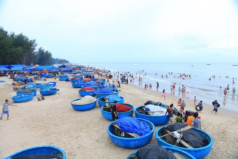 Thuyền thúng cùng rừng dương trên biển Cam Bình