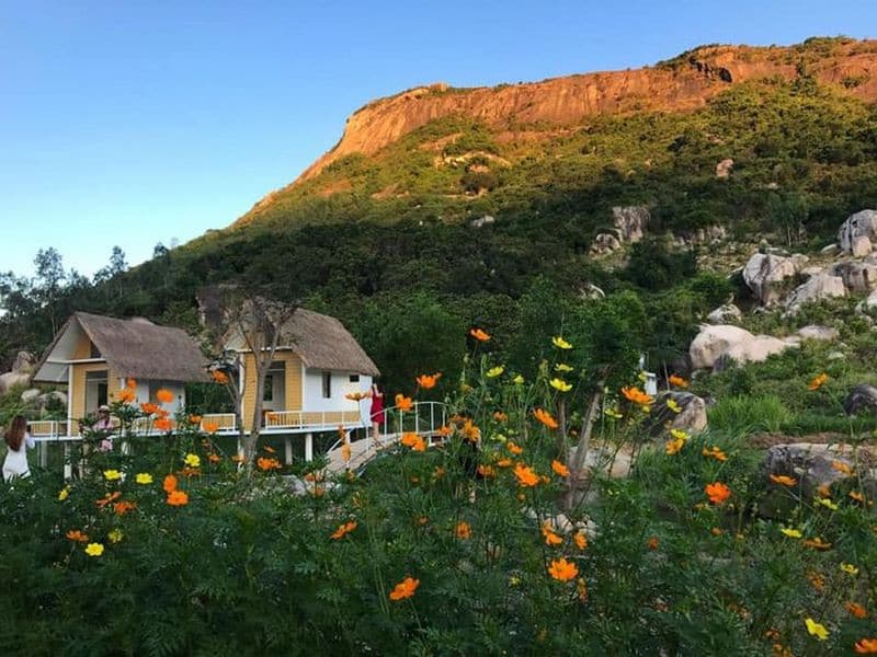 check in đồi cừu vĩnh hy