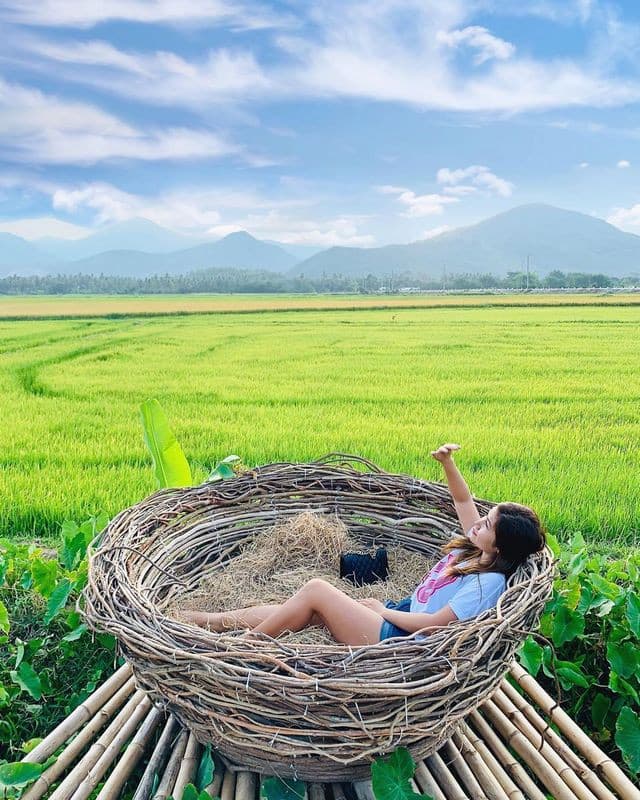 check-in đồng cừu vĩnh hy