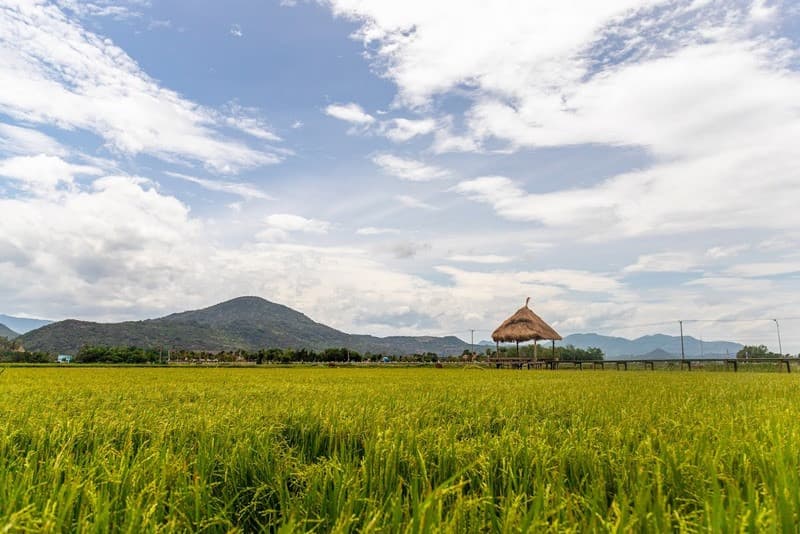 ninh thuận