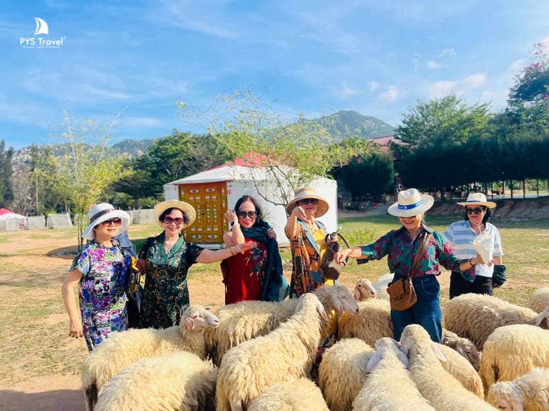 check-in với cừu vĩnh hy