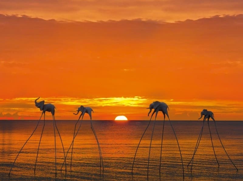 Sunset Sanato