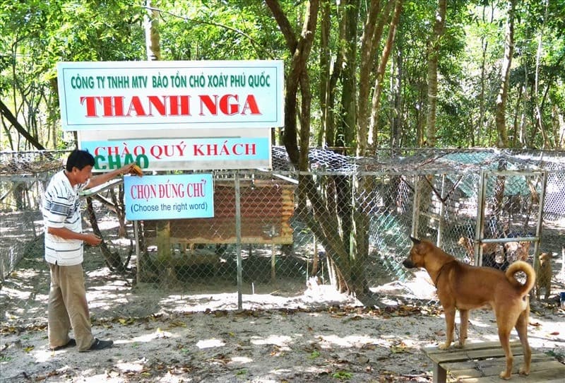 Trung tâm bảo tồn chó xoáy Phú Quốc