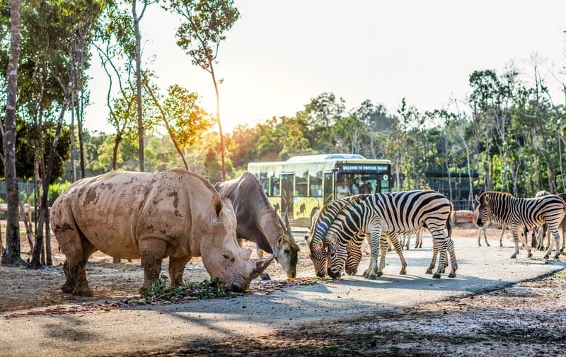 Vinpearl Safari Phú Quốc