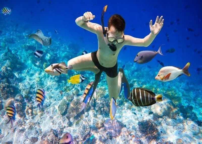 Địa điểm lặn biển ngắm san hô hoang sơ ở Phú Quốc 