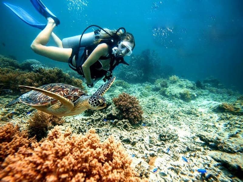 Lặn ngắm san hô ở Phú Quốc bằng ống thở