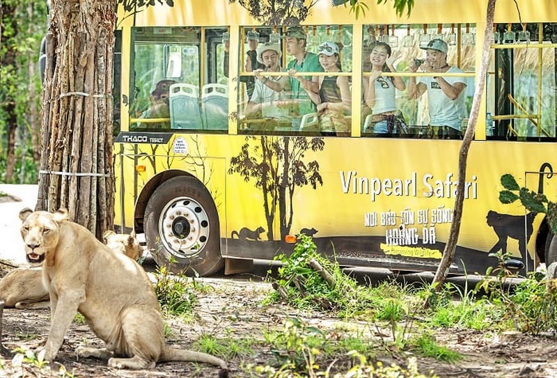 vinpearl safari phú quốc