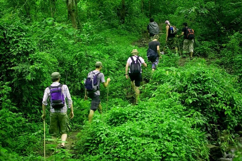 trekking vườn quốc gia phú quốc