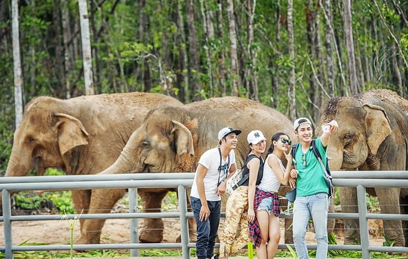 open zoo vinpearl safari phú quốc