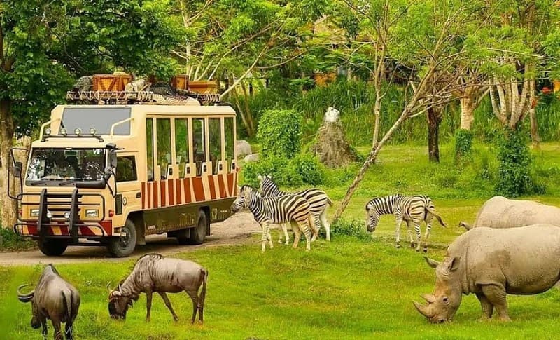 safari park 