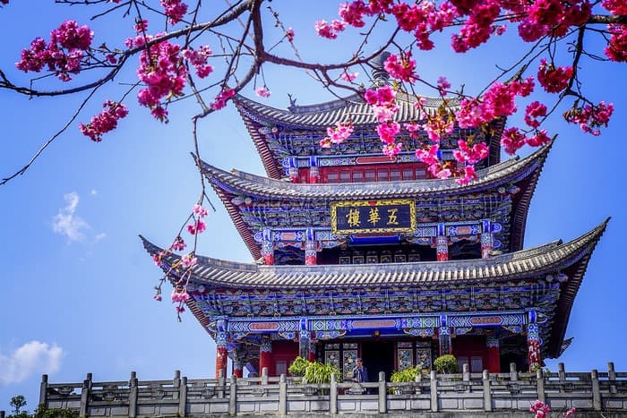 Hoa anh đào Trung Quốc, Đại Lý