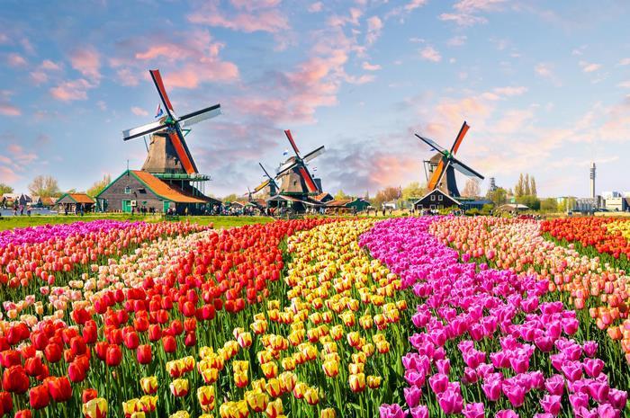 Vườn Hoa Keukenhof, du lịch Hà Lan