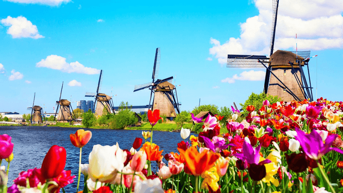 Làng Cối Xay Gió Kinderdijk, kinh nghiệm du lịch Hà Lan