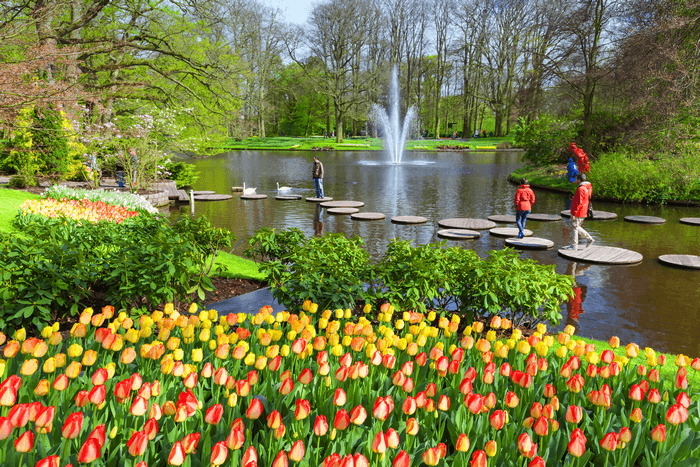 Vườn hoa Keukenhof, lịch trình du lịch Hà Lan tự túc