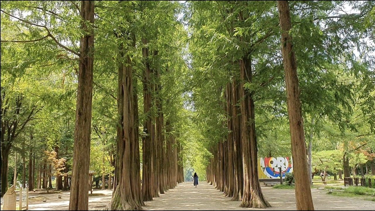 mùa hè seoul