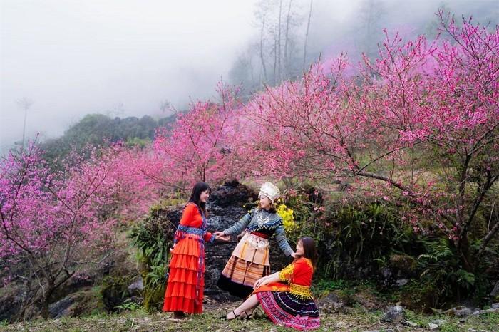 Du lịch Hà Giang mùa xuân