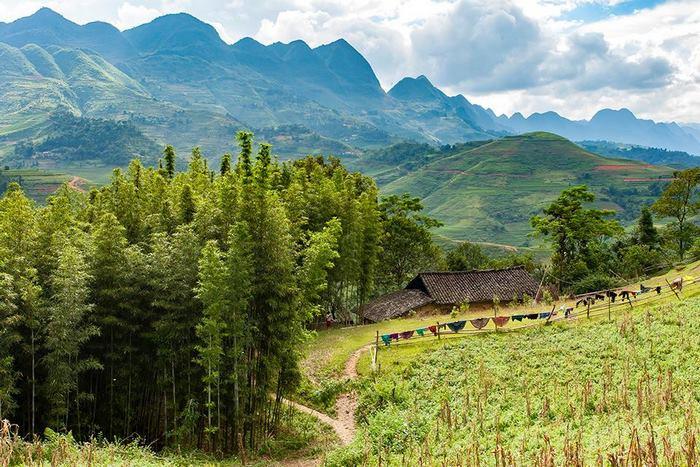 Rừng thông Yên Minh, du lịch Hà Giang