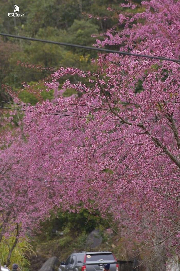 Du lịch Hà Giang mùa xuân