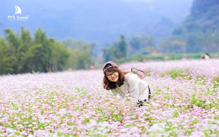 Lịch trình du lịch Hà Giang