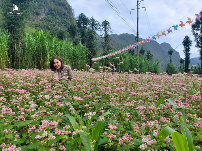 Du lịch Hà Giang tháng 10 đến tháng 11 