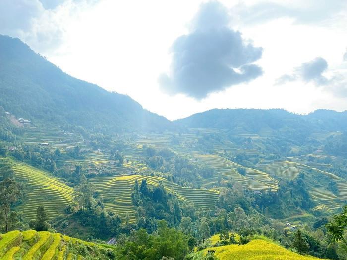 đôi nét về ruộng bậc thang hoàng su phì