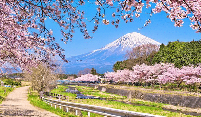 du lịch osaka mùa xuân