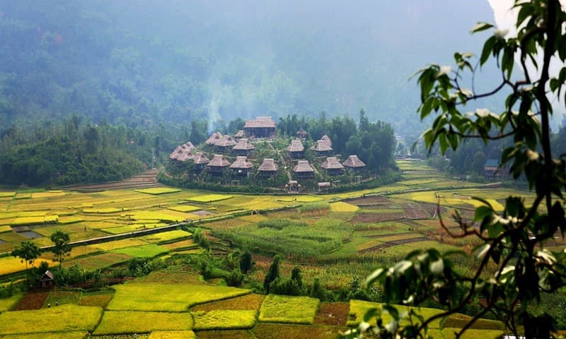 Du lịch Mai Châu mùa lúa chín, Du lịch Mai Châu, tour du lịch Mai Châu, Hoà Bình