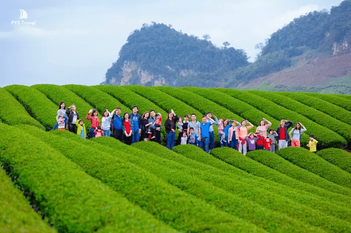 đồi chè trái tim mộc châu