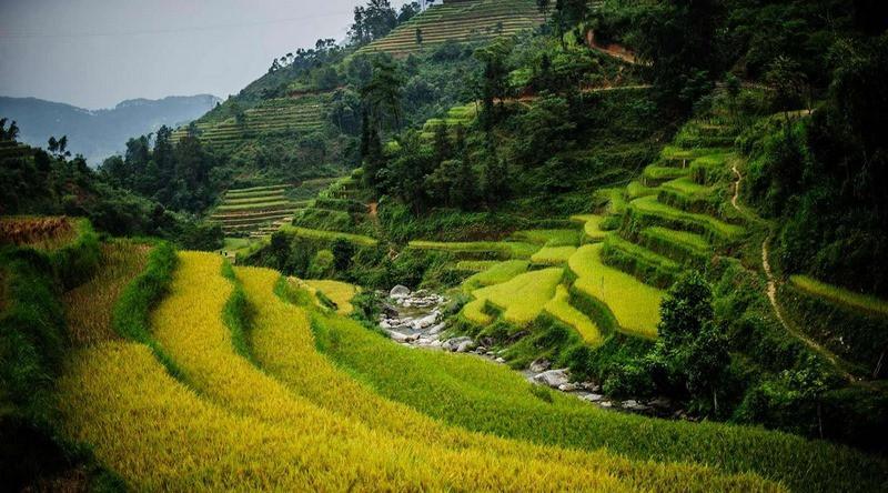 Ruộng bậc thang Hồ Thầu