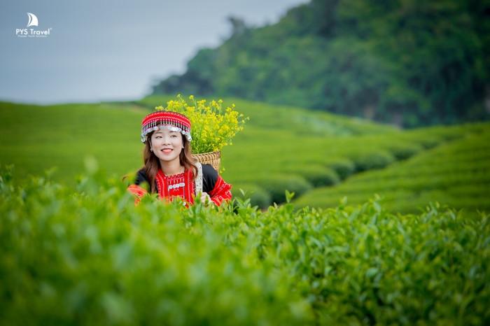 Nông trường thăm đồi chè