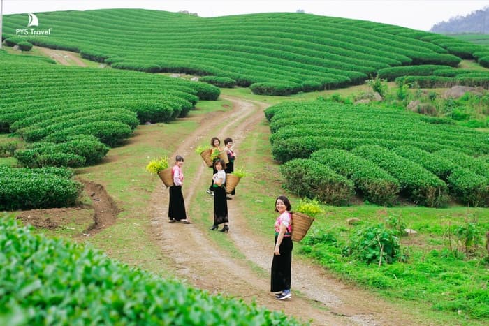 Mộc châu tháng 9