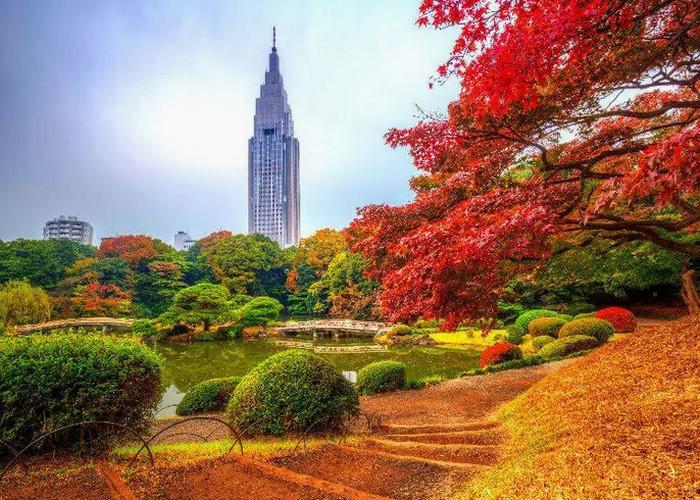 Shinjuku Gyoen