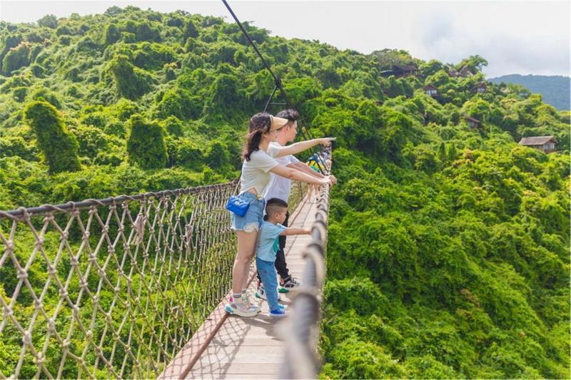 Công viên Rừng nhiệt đới Thiên Đường Vịnh Á Long rope bridge